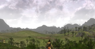 20100627_5.jpg