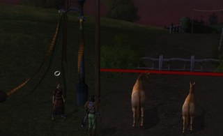 Festival Grounds 1.jpg
