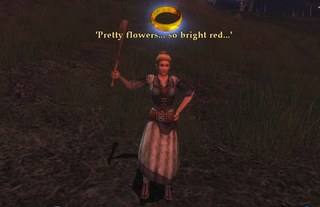 Fields of Fornost 2.jpg