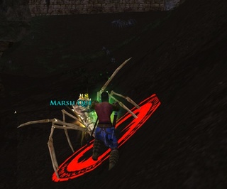 MarshQueen.jpg