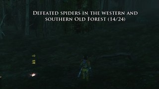 Old Forest 1.jpg