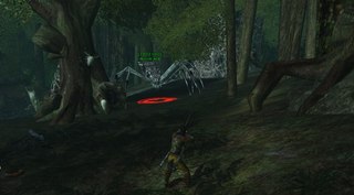 Old forest 2.jpg