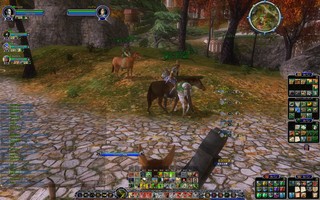 ScreenShot00024.jpg