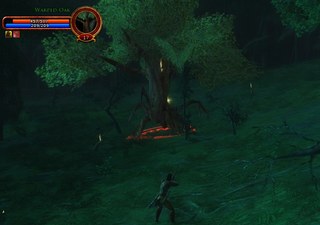 The Shiftinf Wood 1.jpg